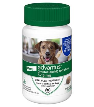 Advantus (Imidacloprid) Chewable Flea Treatment for Large Dogs, 23-110 Pound