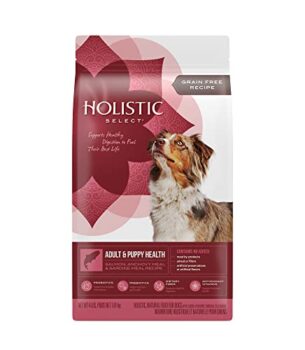 Holistic Select Natural Grain Free Dry Dog Food, Adult & Puppy Salmon