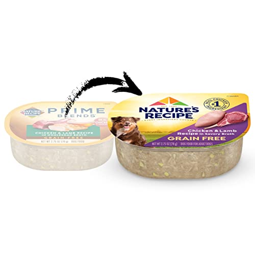 Nature's Recipe Grain Free Chicken & Lamb Recipe in Savory Broth Wet Dog Food, 2.75 oz. Cup, 12 Count - Image 2