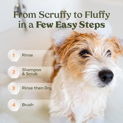 PAWFUME Deshedding Dog Shampoo and Conditioner, Show Dog, 1-Pack ? Nourish & Detangle for Silky Soft Coat ? Probiotic, Deep-Cleaning, pH-Balanced Formula ? Salon-Quality Shampoo for Dogs - Image 12