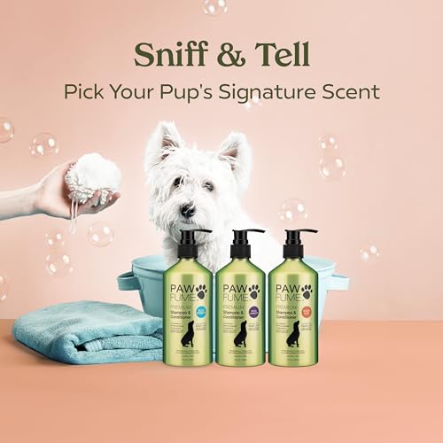 PAWFUME Deshedding Dog Shampoo and Conditioner, Show Dog, 1-Pack ? Nourish & Detangle for Silky Soft Coat ? Probiotic, Deep-Cleaning, pH-Balanced Formula ? Salon-Quality Shampoo for Dogs - Image 11