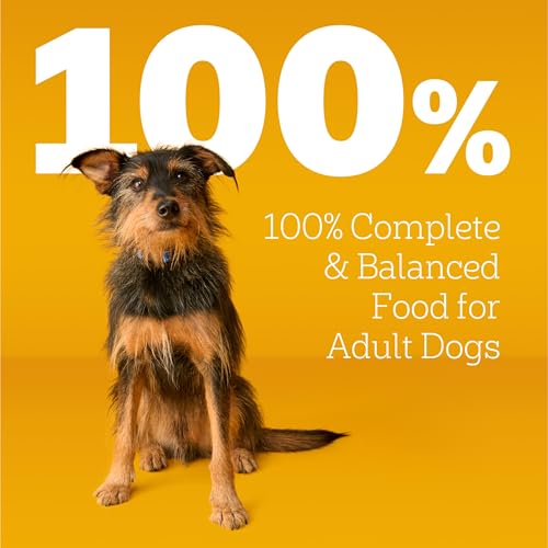 Pedigree Complete Nutrition Adult Dry Dog Food, Grilled Steak & Vegetable Flavor, 18 lb. Bag - Image 12