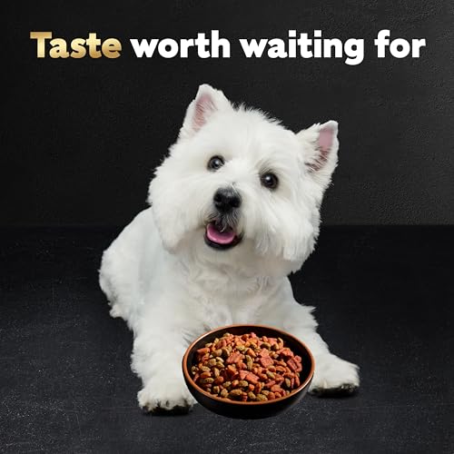 Cesar Small Breed Dry Dog Food Rotisserie Chicken Flavor and Spring Vegetables Garnish, 2.7 lb. Bag - Image 13