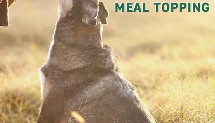 Nutri Bites Freeze Dried Beef Liver Dog & Cat Treats | Healthy Pet Training Treats or Food Topper | All Natural, Single Ingredient, High Protein | Premium Bulk Large Size Pack (27 OZ) - Image 4