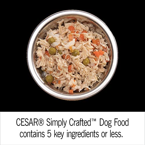 Cesar Simply Crafted Adult Wet Dog Food Meal Topper, Variety Pack, 1.3 oz Tubs (24 Count, Pack of 1) - Image 7