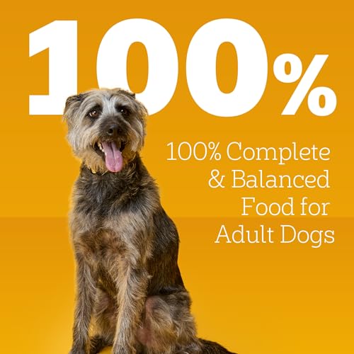 Pedigree Choice Cuts in Gravy Adult Canned Soft Wet Dog Food, Beef & Country Stew, 13.2 oz. Cans (12 Count, Pack of 1) - Image 11