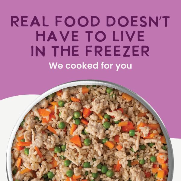 Health Extension Gently Cooked Chicken & Pumpkin Dog Food, Human-Grade & Shelf-Stable with Superfoods, Supports Digestion, Immunity, Skin & Coat, 9 oz Pouch (Pack of 5) - Image 3