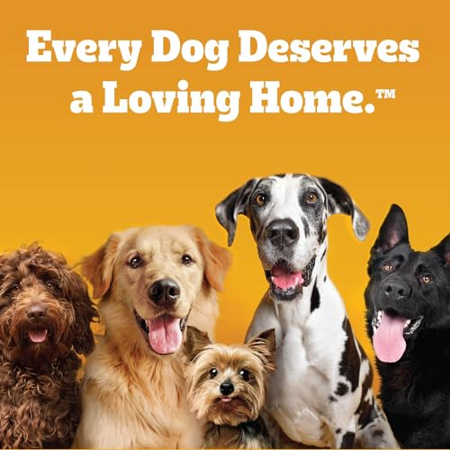 Pedigree Puppy Soft Wet Dog Food Variety Pack, 3.5 oz Pouches, 18 Count (Pack of 2) - Image 13