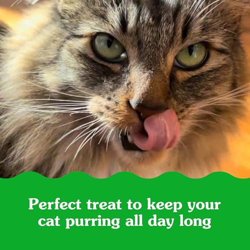 Greenies Feline Smartbites Hairball Control for Cats Chicken Flavor 16oz - Image 12