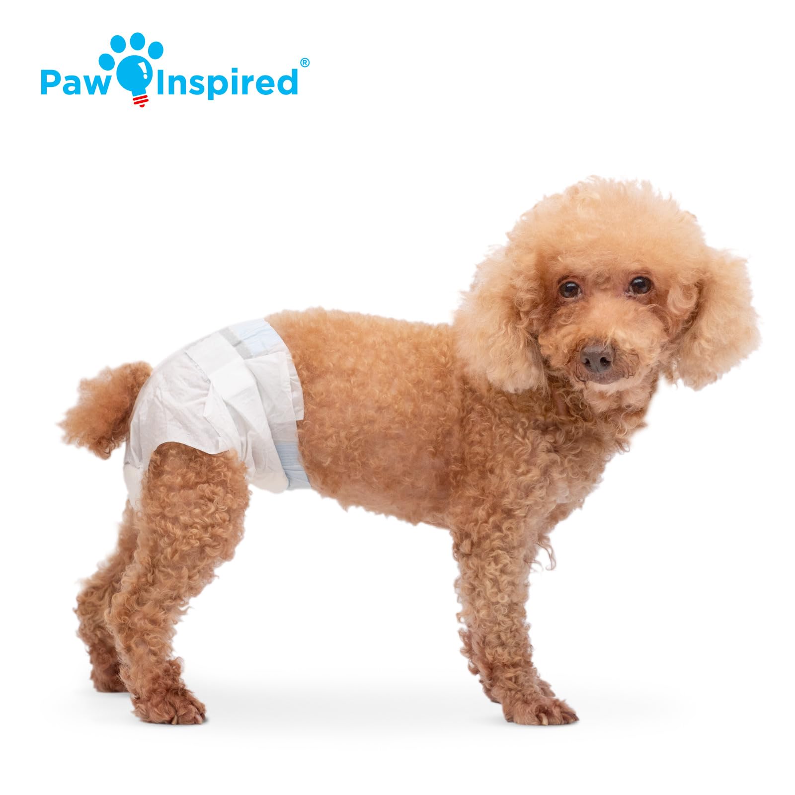 Paw Inspired 32ct Disposable Dog Diapers | Female Dog Diapers Ultra Protection | Diapers for Dogs in Heat, Excitable Urination, or Incontinence (Small) - Image 4