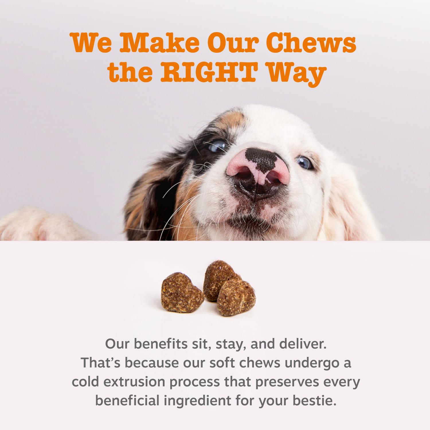 Zesty Paws Probiotics for Dogs, Digestive Enzymes Gut Flora, Digestive Health, Diarrhea & Bowel Support, DE111, Dog Probiotics Soft Chew for Pet Immune System, Chicken, 90 Ct - Image 7
