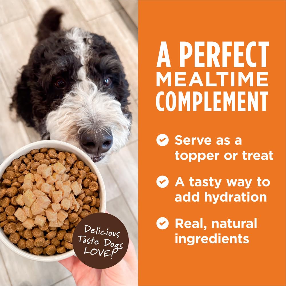 Instinct Healthy Cravings Natural Wet Dog Food Topper, Grain Free Recipe - Real Beef, 3 oz. Pouches (Pack of 24) - Image 4