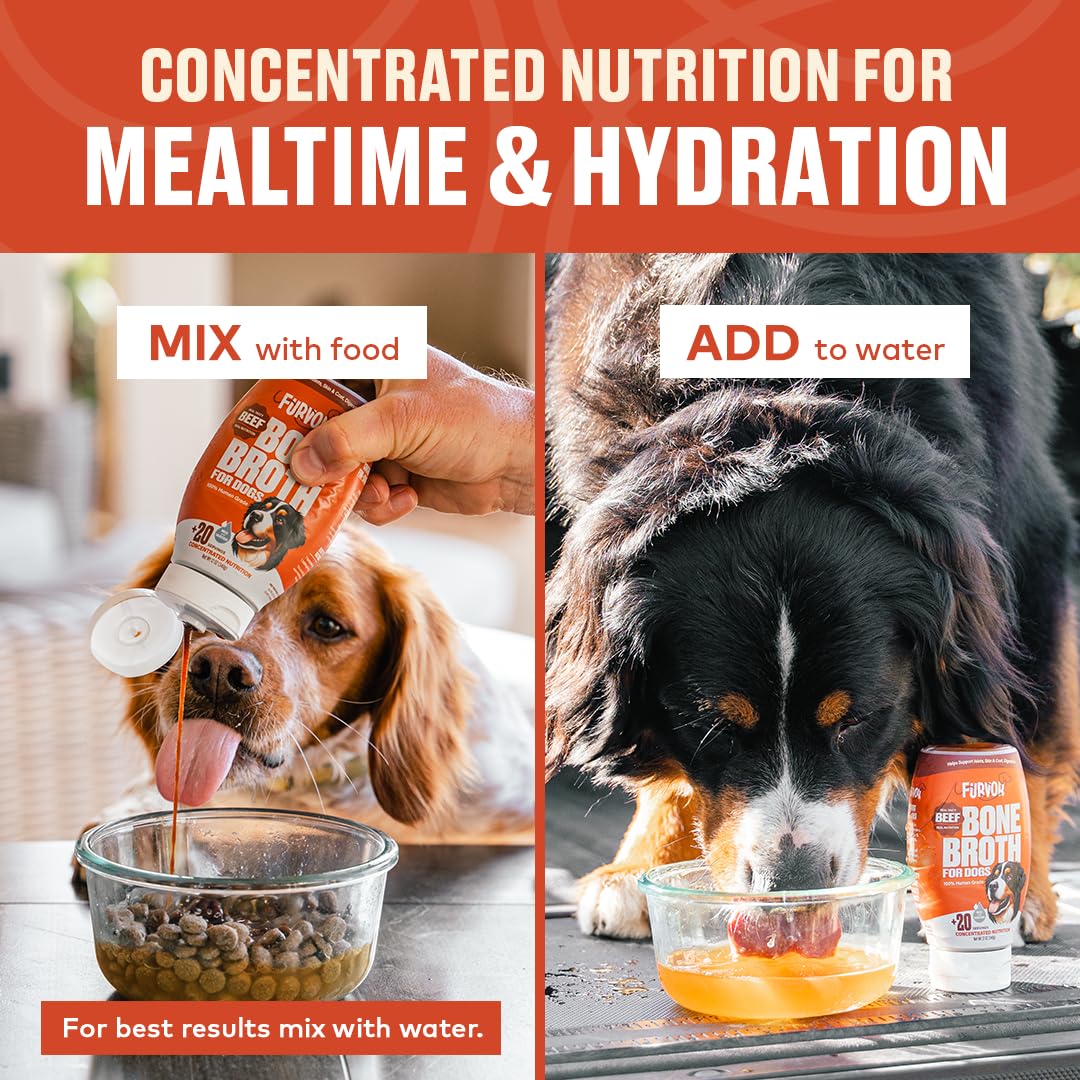Beef Bone Broth Concentrate for Dogs - Collagen Protein Supplement - Digestion, Mobility, Coat, Immune System, Joints - Healthy Dog Food Gravy Topper - Human Grade, Made in USA (16 oz, 30 Servings) - Image 4