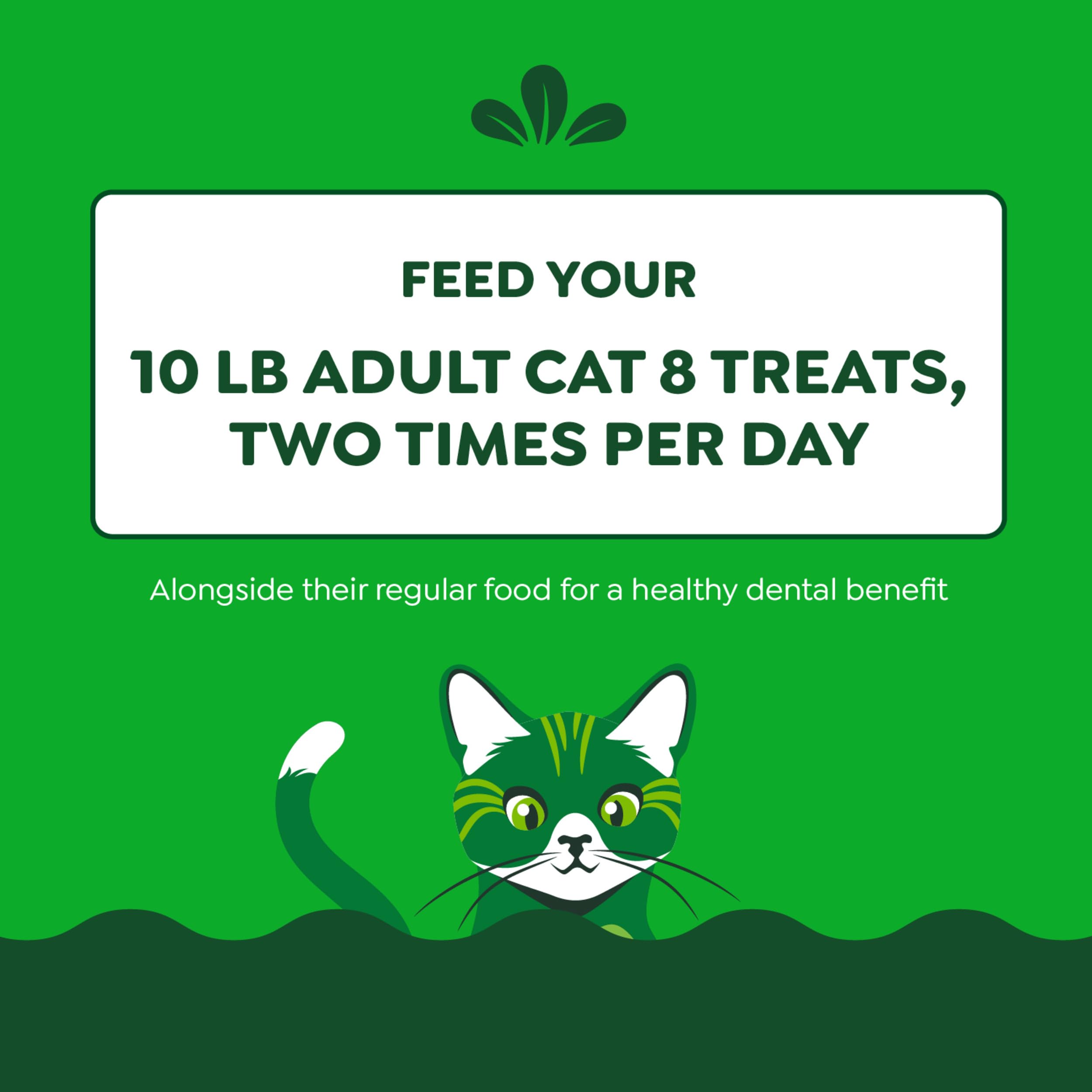 Greenies Feline Adult Dental Cat Treats, Tempting Tuna Flavor, 9.75 oz. Tub - Image 9