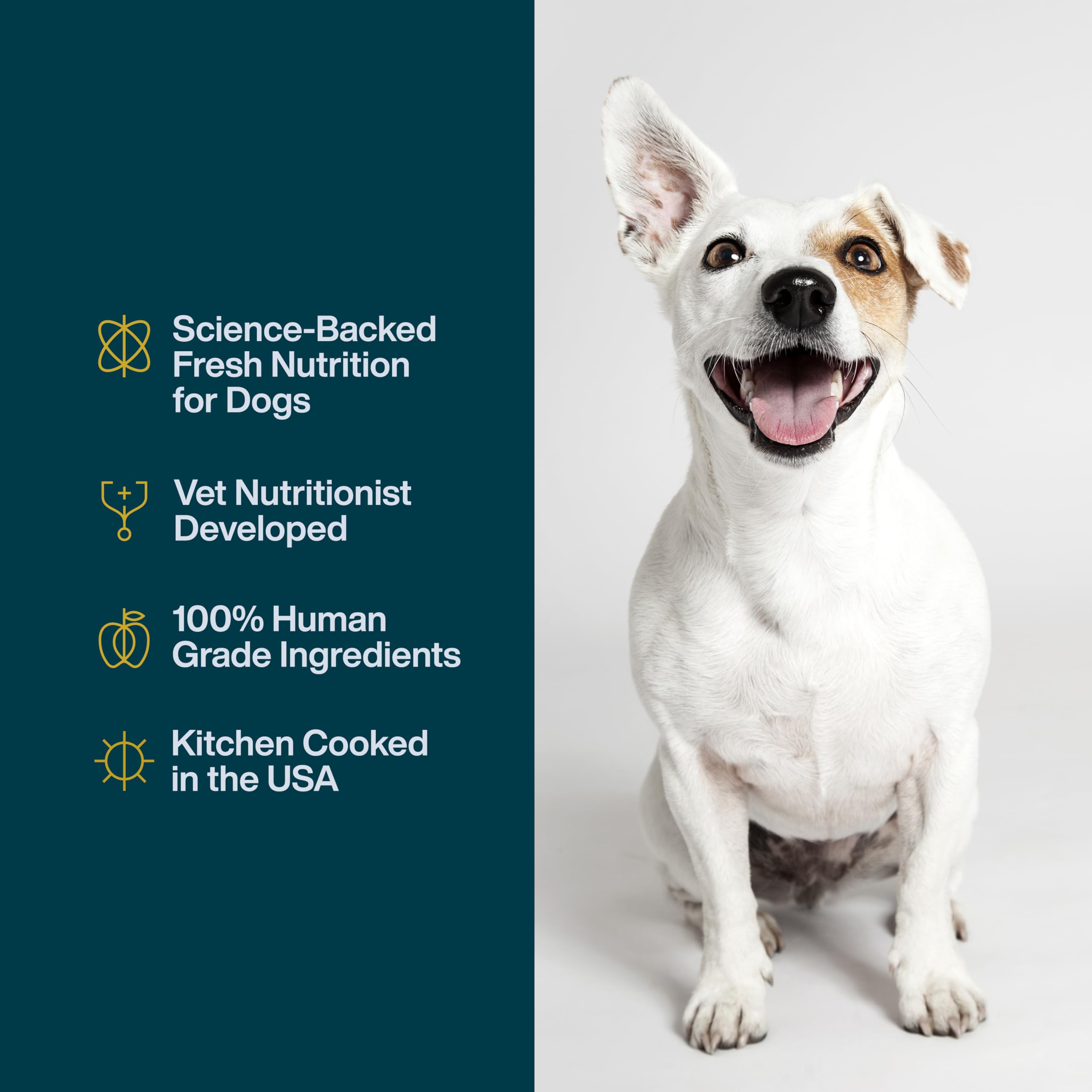 JustFoodForDogs JustFresh Home-Cooked Chicken Dog Food with No Preservatives, Resealable Packaging, Human Grade Wet Dog Food, 12 oz - 7 Pack - Image 5