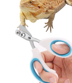 Stainless Steel Bearded Dragon Nail Clippers,Lizard Nail Clippers,Bearded Dragon Supplies,Bearded Dragon Nail Scissors for Small Reptiles,Turtle,Chameleon,Iguana?Hedgehog?Blue?