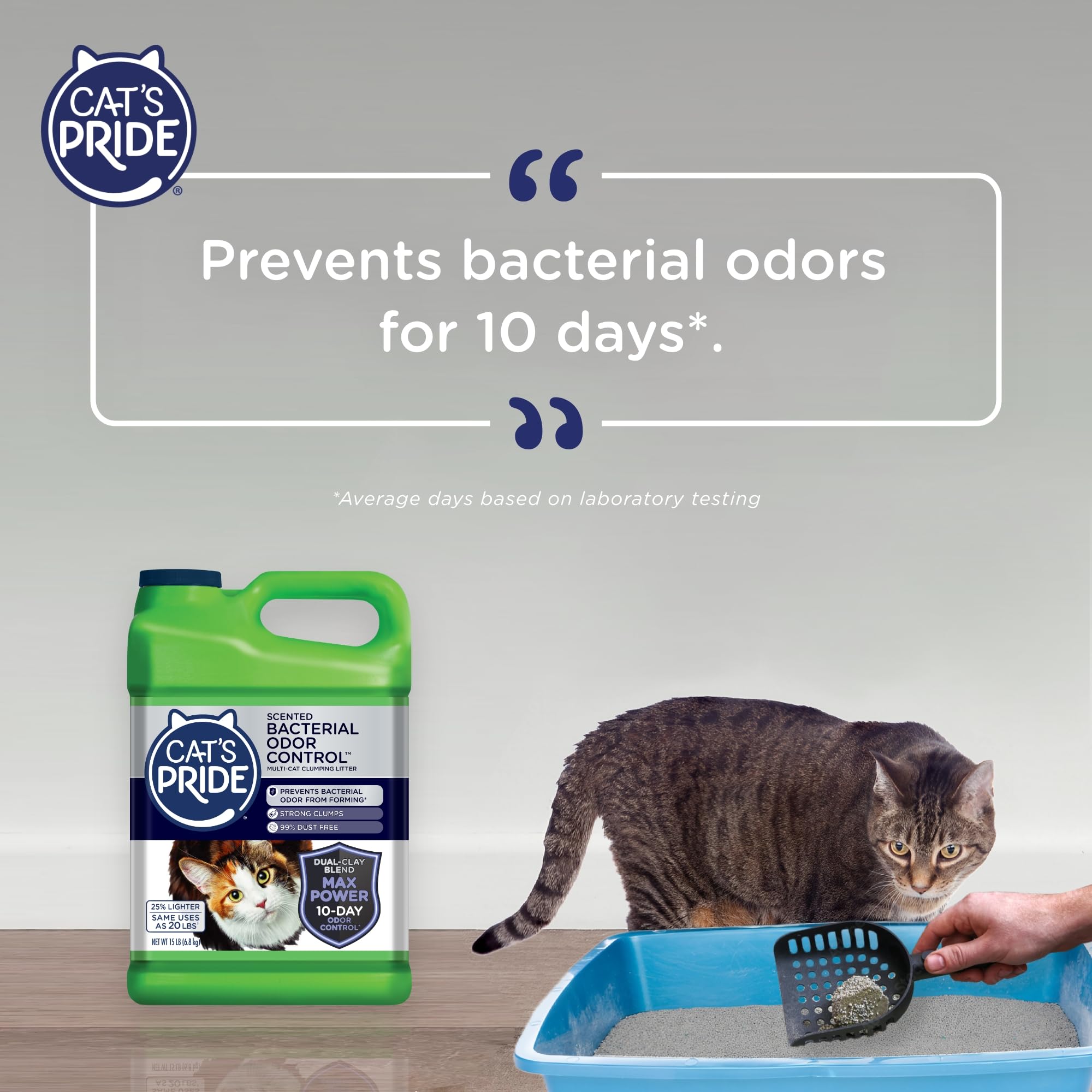 Cat's Pride Max Power: Bacterial Odor Control - Up to 10 Days of Powerful Odor Control - Strong Clumping - 99% Dust Free - Multi-Cat Litter, Scented, 15 Pounds - Image 5