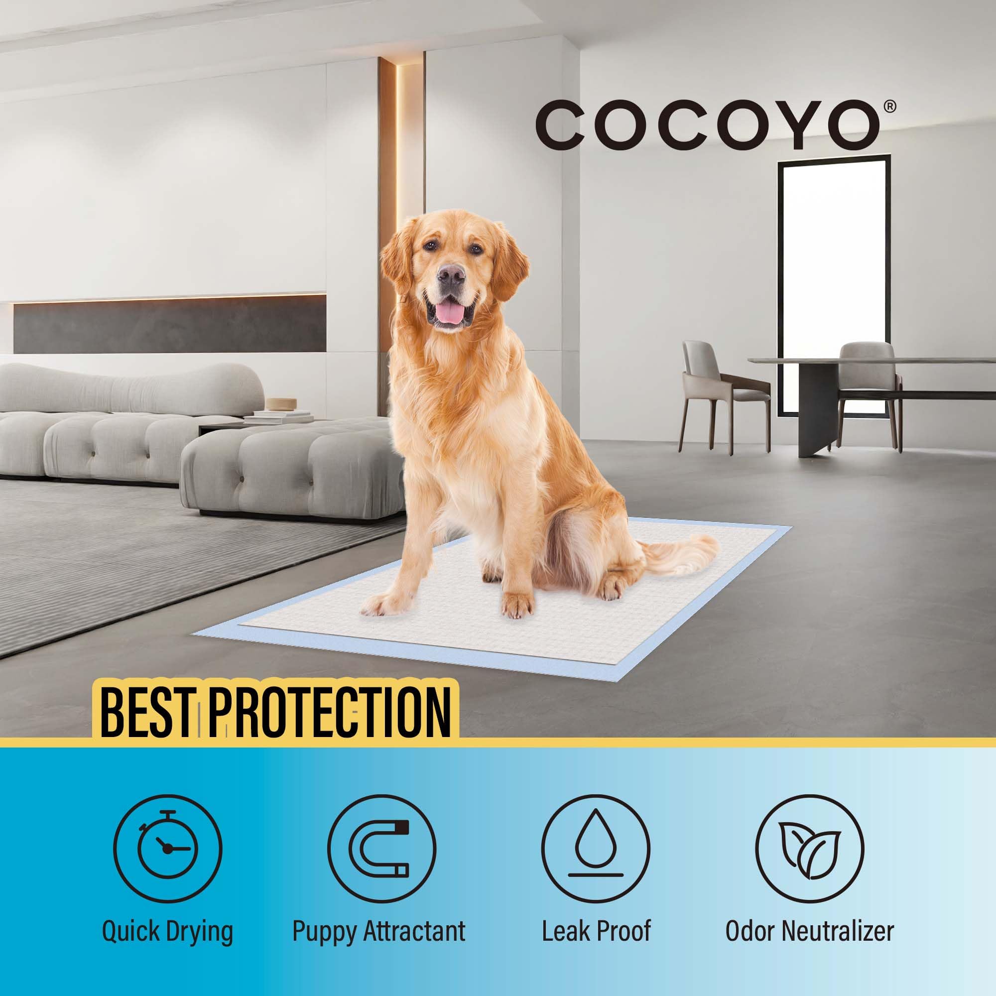 COCOYO Best Value 22"x22" Dog Training Pads 50 Count | Dog Pee Pads | Super Absorbent Puppy Pads,White - Image 3