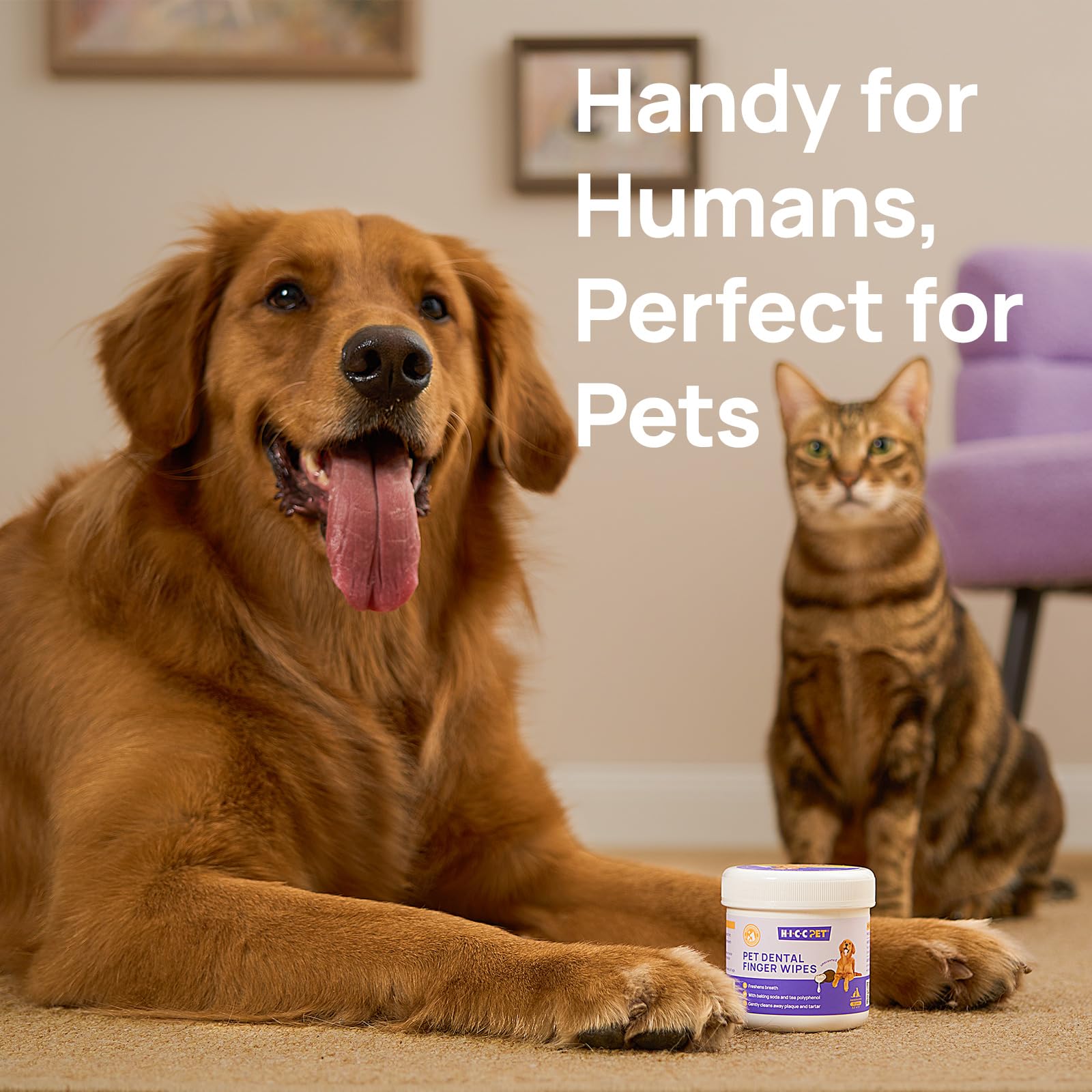 HICC PET Teeth Cleaning Wipes for Dogs & Cats, Vet-Recommended Remove Bad Breath & Plaque & Tartar Buildup Dog Finger Toothbrush Wipes, Dog Tooth Brushing Kit Remove Stain & Gum Care for Small Animal - Image 7