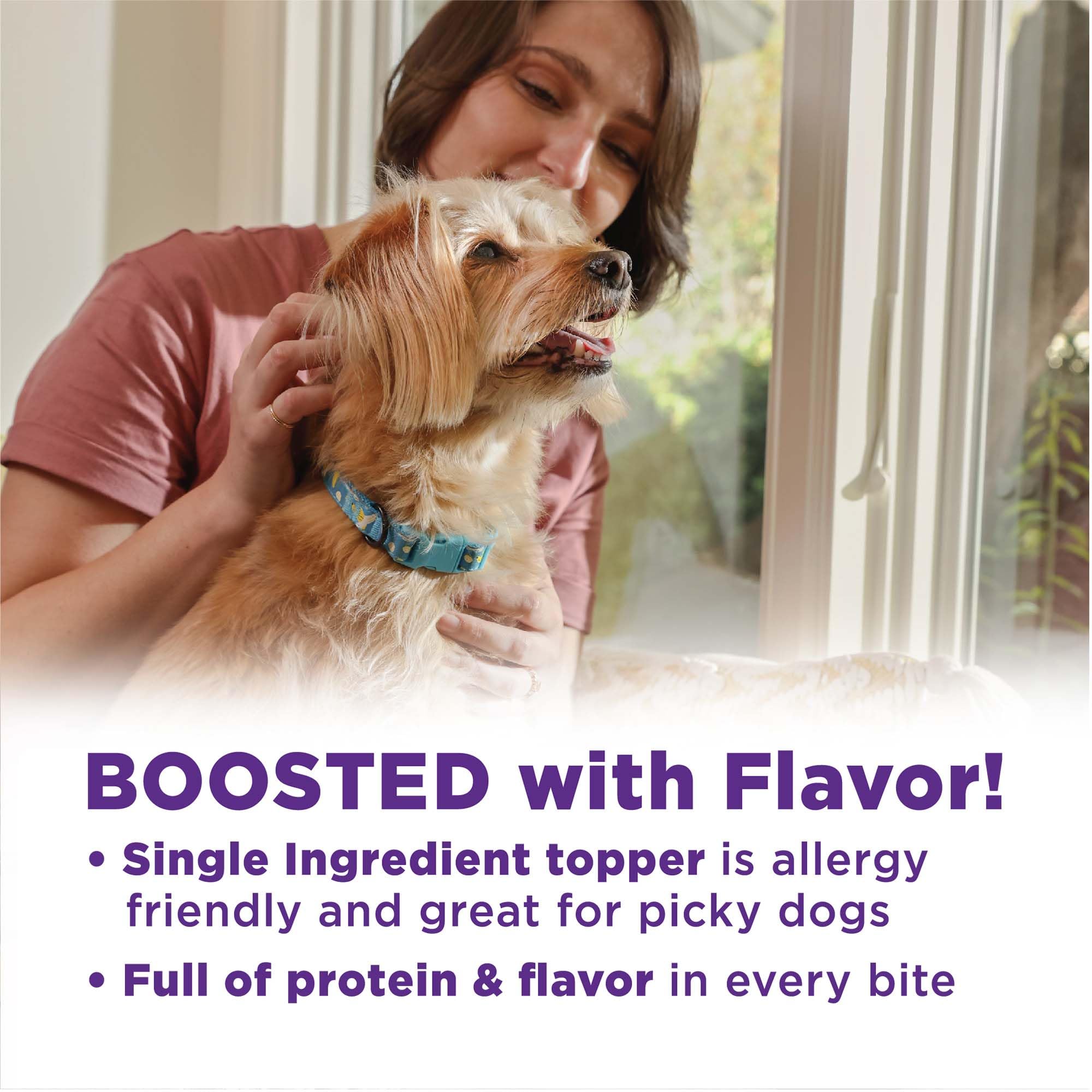 Wellness Bowl Boosters Bare, Dog Food Topper for Small, Medium, & Large Breeds, Grain Free, Natural, Freeze Dried, Beef, 4 Ounce Bag (Pack of 1) - Image 4