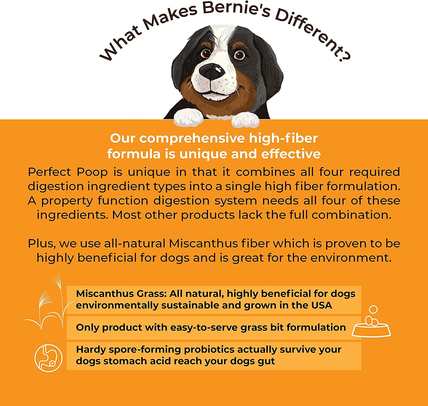 Perfect Poop Digestion & General Health Supplement for Dogs: Fiber, Prebiotics, Probiotics & Enzymes Relieve Digestive Conditions, Optimize Stool, and Improve Health (Cheddar Cheese, 12.8 oz) - Image 7