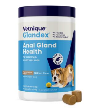Vetnique Glandex Anal Gland Soft Chew Treats with Pumpkin for Dogs Digestive Enzymes, Probiotics Fiber Supplement for Dogs Boot The Scoot (Peanut Butter Chews, 120 Count)