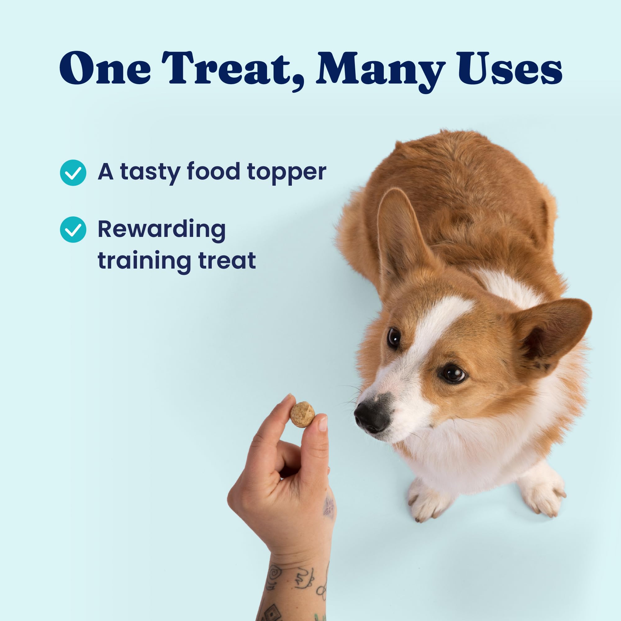 Solid Gold Freeze Dried Dog Food - W/Real Beef, Pumpkin & Superfoods - Freeze Dried Raw Dog Food Toppers for Picky Eaters to Serve as a Nutrient-Dense Meal Topper or High Protein Treats - 1.5oz - Image 5