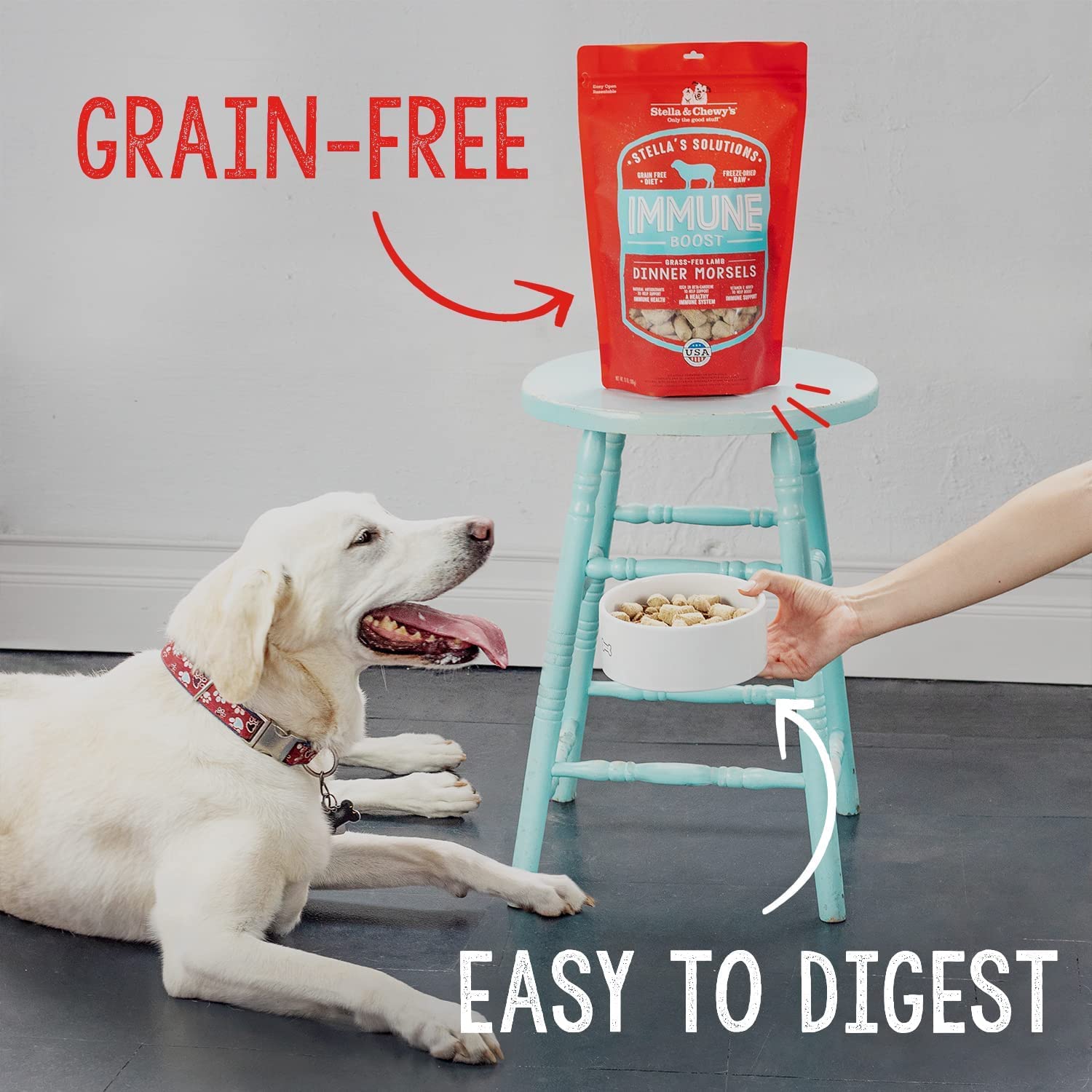 Stella & Chewy's ? Stella?s Solutions Skin & Coat Boost ? Grass-Fed Lamb & Wild-Caught Salmon Dinner Morsels ? Freeze-Dried Raw, Protein Rich, Grain Free Dog Food ? 4.25 oz Bag - Image 6