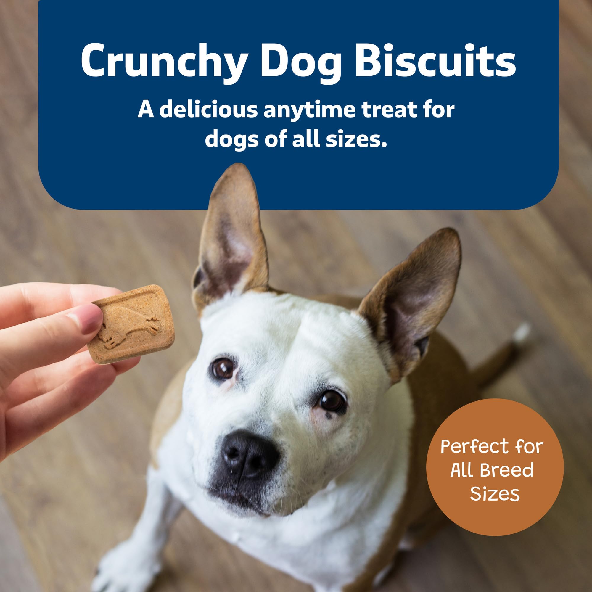 Blue Buffalo Health Bars Crunchy Dog Biscuits, Oven-Baked With Natural Ingredients, Pumpkin & Cinnamon, 16-oz Bag - Image 5