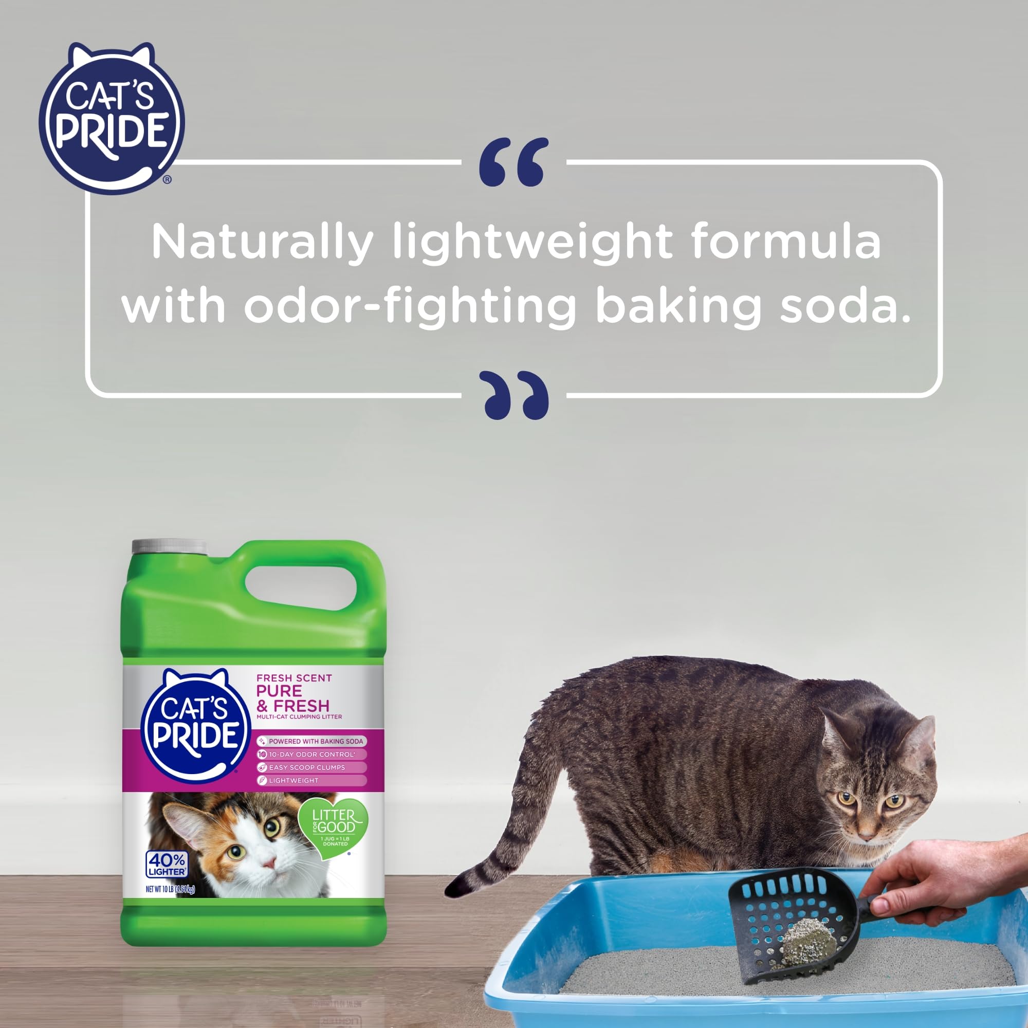 Cat's Pride Premium Lightweight Clumping Litter: Pure & Fresh - Up to 10 Days of Powerful Odor Control - Multi-Cat, Scented, 10 Pounds - Image 7