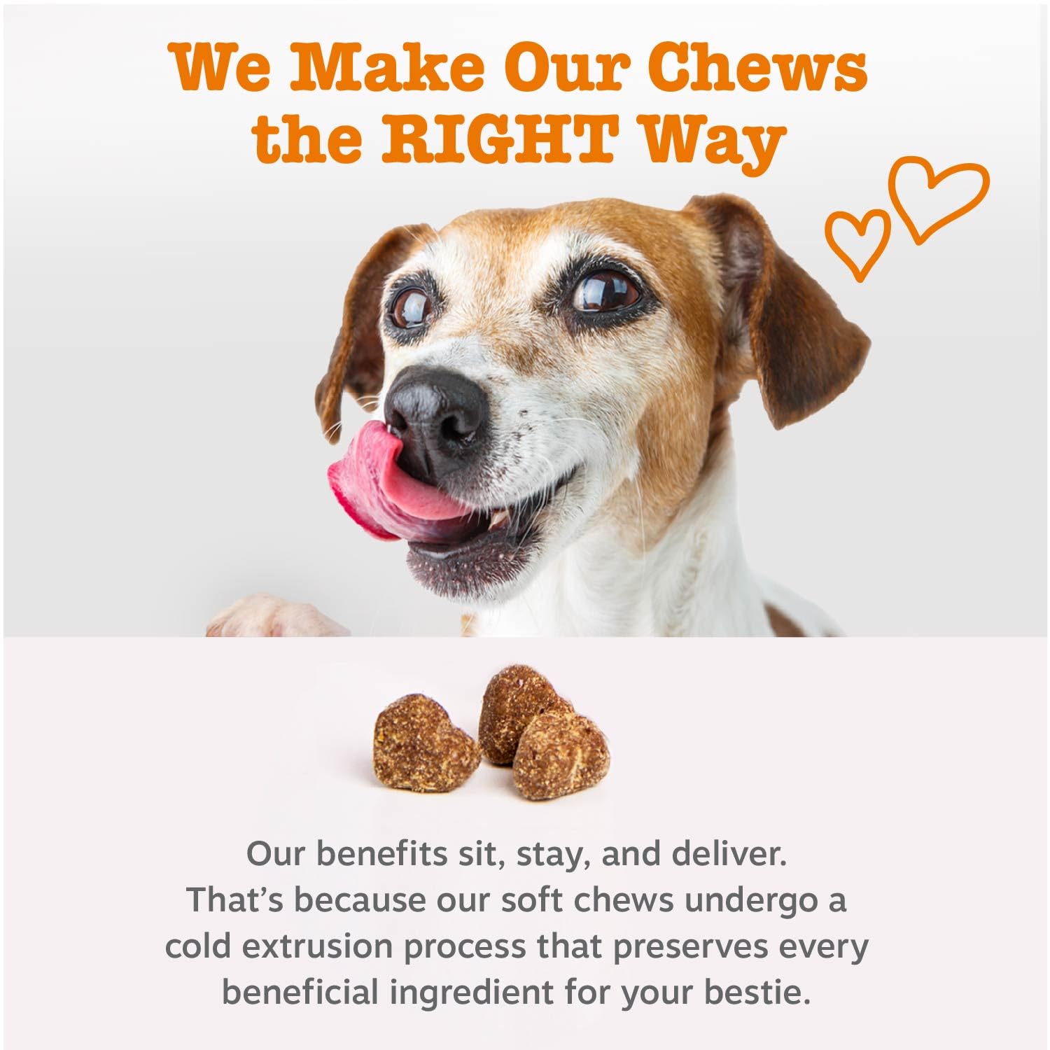 Zesty Paws Dog Multivitamin, Chewable Dog Vitamins and Supplements for Hip & Joints, Skin & Coat, Omega 3 Fish Oil for Dogs- Senior & Puppy Multivitamin- Chicken- 90ct - Image 6