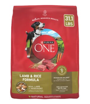 Purina ONE Dry Dog Food Lamb and Rice Formula - 31.1 lb. Bag