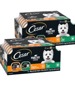 Cesar Filets in Gravy Adult Wet Dog Food, Poultry Lovers Multipack, 3.5 oz. (12 Count, Pack of 2)
