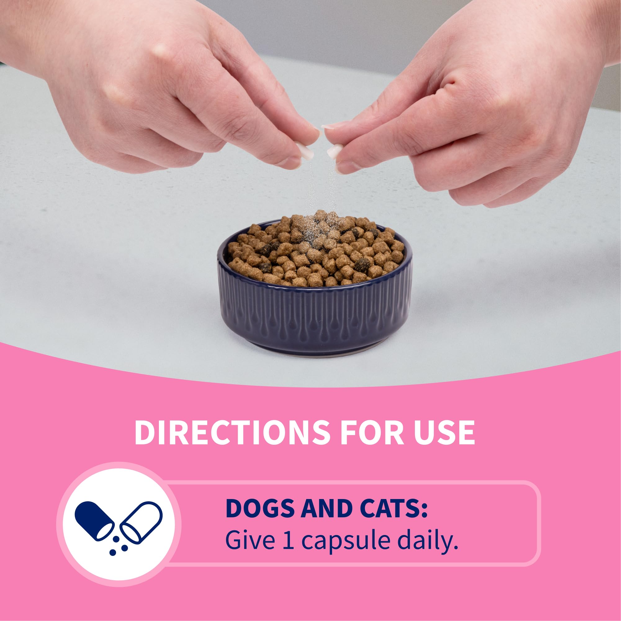 Nutramax Proviable Probiotics for Dogs and Cats, Daily Digestive Health Supplement with Multiple Strains of Bacteria, Cat and Dog Probiotics Plus Prebiotics, 80 Capsules - Image 5