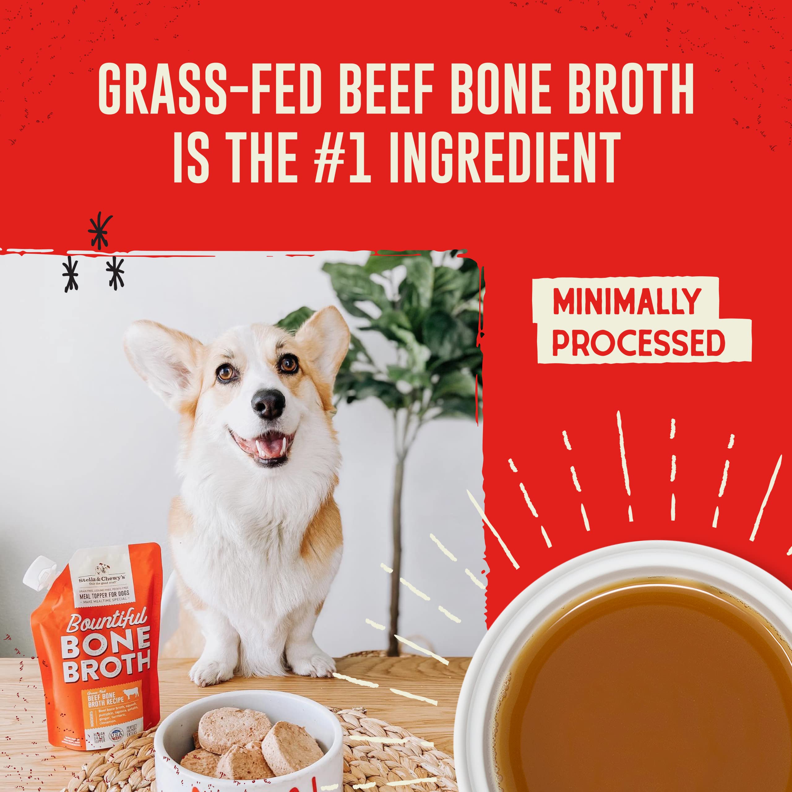 Stella & Chewy's Human-Grade Grass-Fed Beef Bone Broth for Dogs - Joint & Gut Health Liquid Food Topper with Collagen & Turmeric, 16 Fl Oz Resealable Pouch - Image 2