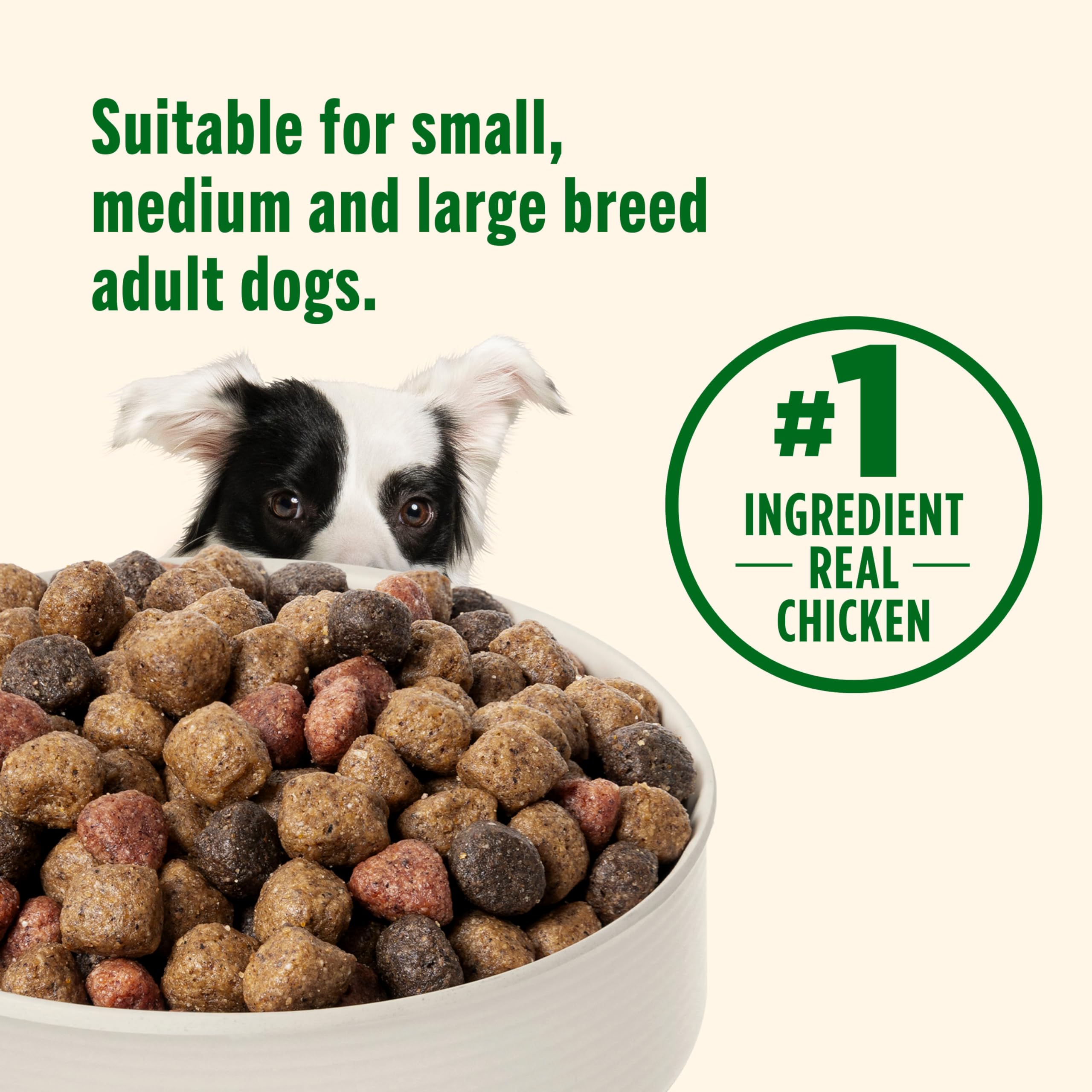 Nutrish Dry Dog Food, Real Chicken & Veggies Recipe Whole Health Blend, 6 lb. Bag (Rachael Ray) - Image 6