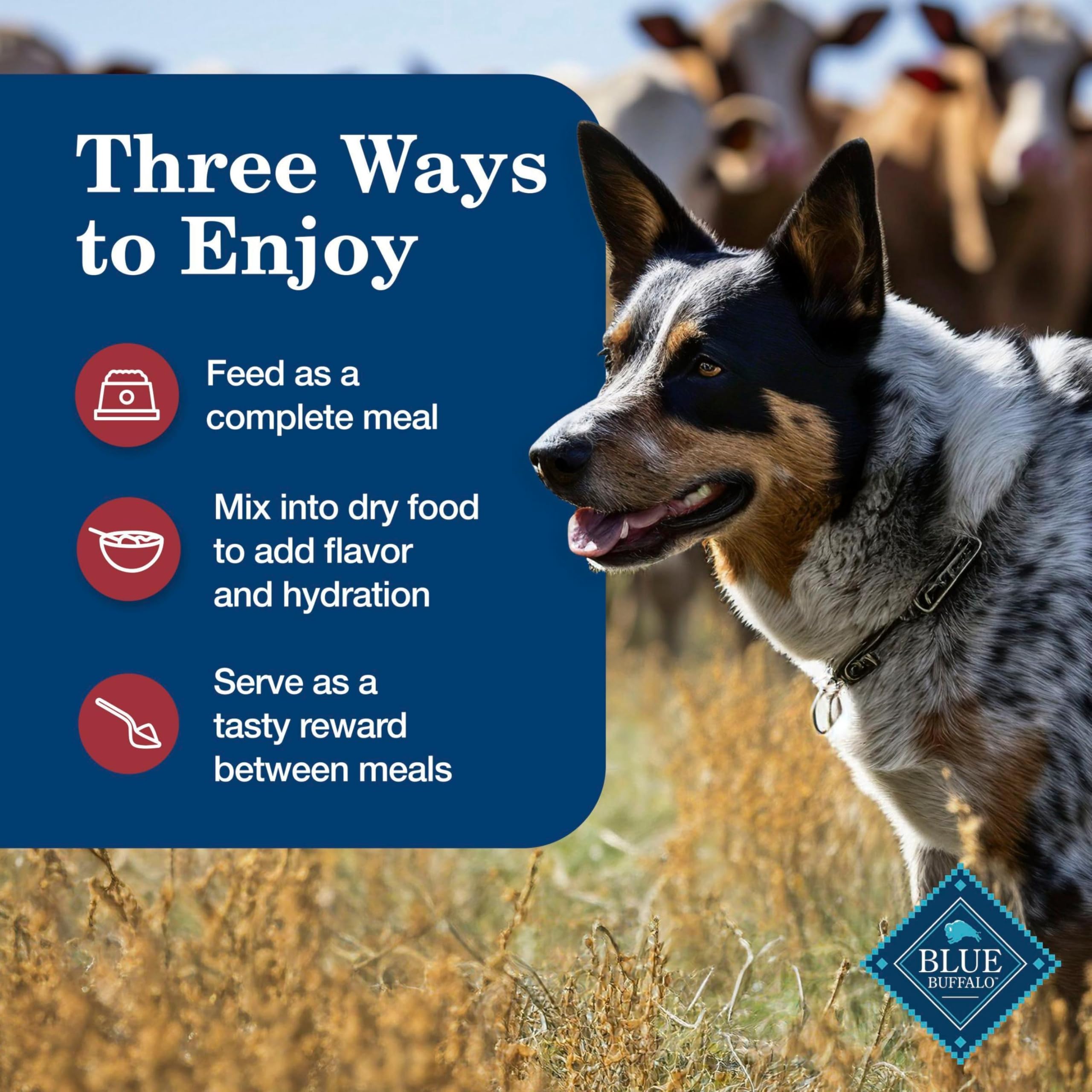 Blue Buffalo Homestyle Recipe Adult Wet Dog Food, Made with Natural Ingredients, Chicken and Beef Dinner Variety Pack, 12.5-oz Cans (6 Count, 3 of each) - Image 8