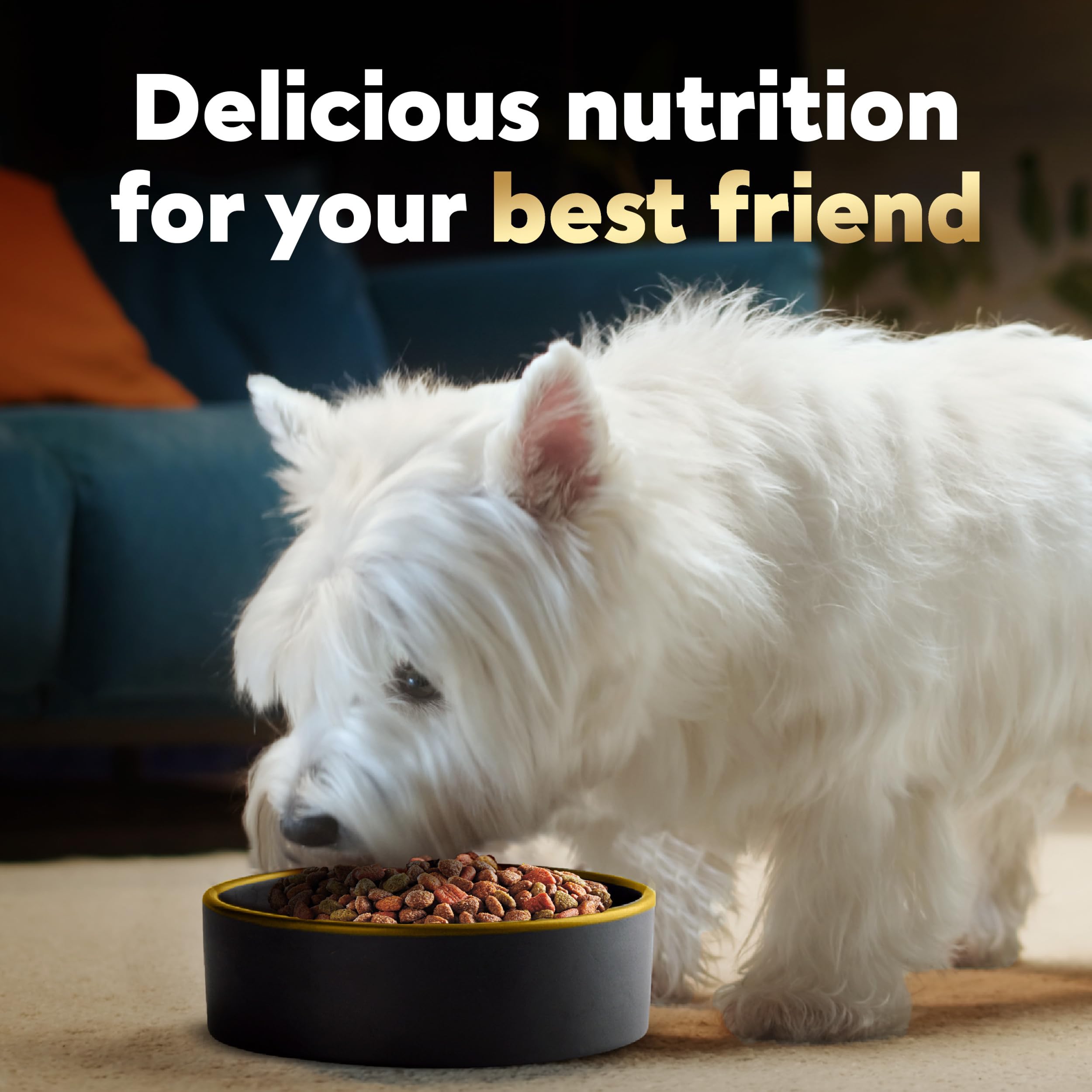 Cesar Small Breed Dry Dog Food Rotisserie Chicken Flavor and Spring Vegetables Garnish, 2.7 lb. Bag - Image 10