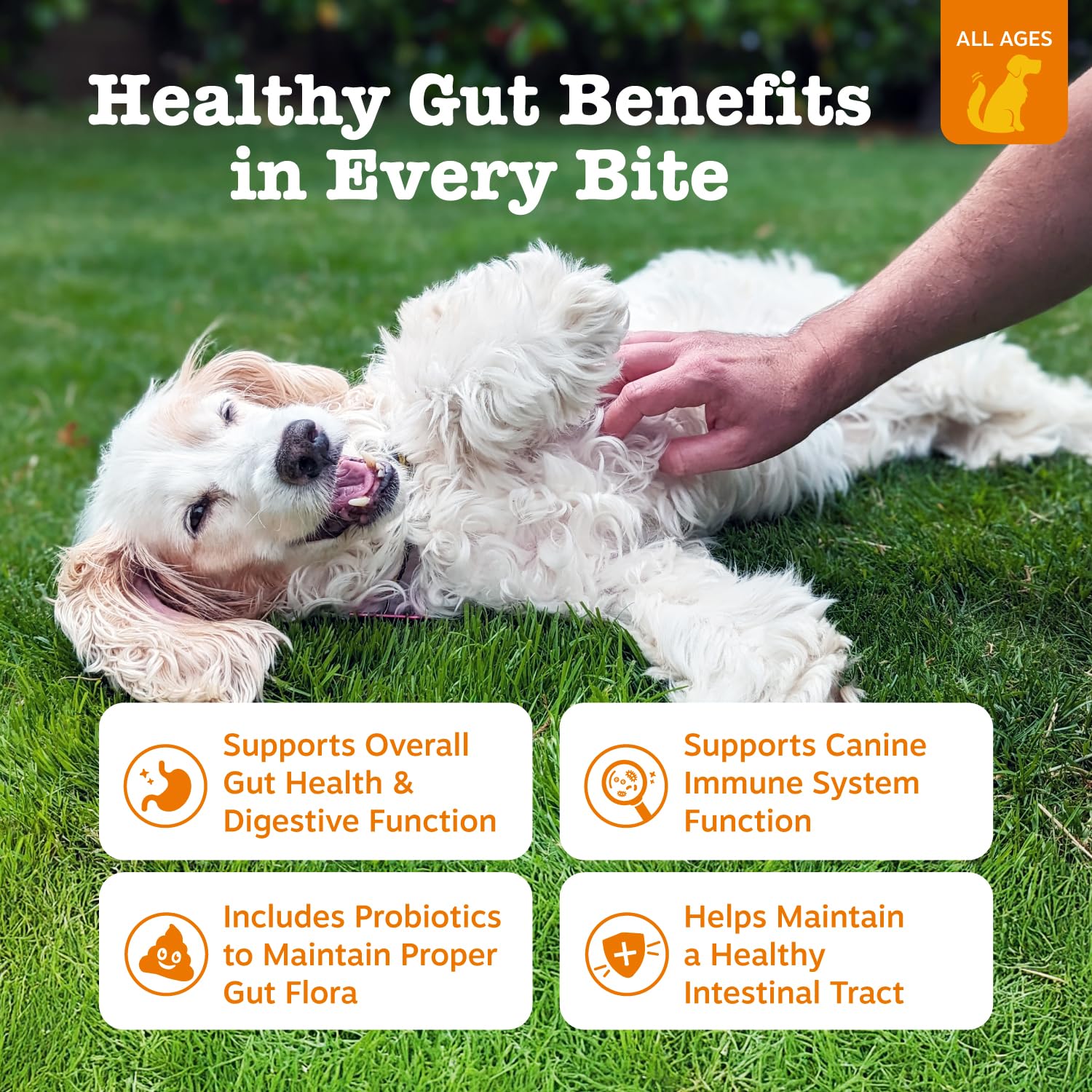 Zesty Paws Probiotics for Dogs, Digestive Enzymes Gut Flora, Digestive Health, Diarrhea & Bowel Support, DE111, Dog Probiotics Soft Chew for Pet Immune System, Chicken, 90 Ct - Image 2