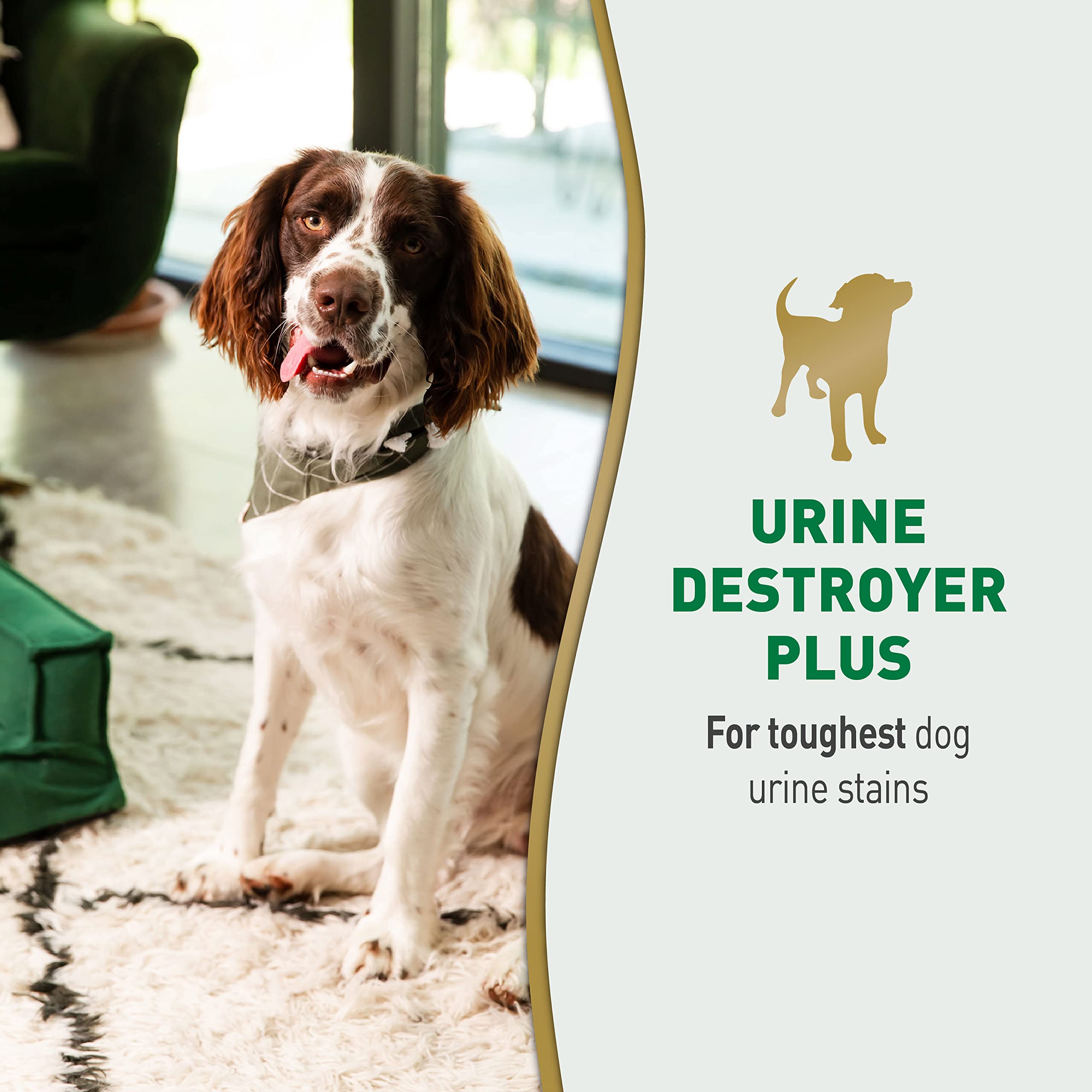 Nature's Miracle Urine Destroyer Plus for Dogs, Enzymatic Formula for Severe Dog Urine Stains, 32 fl oz - Image 3