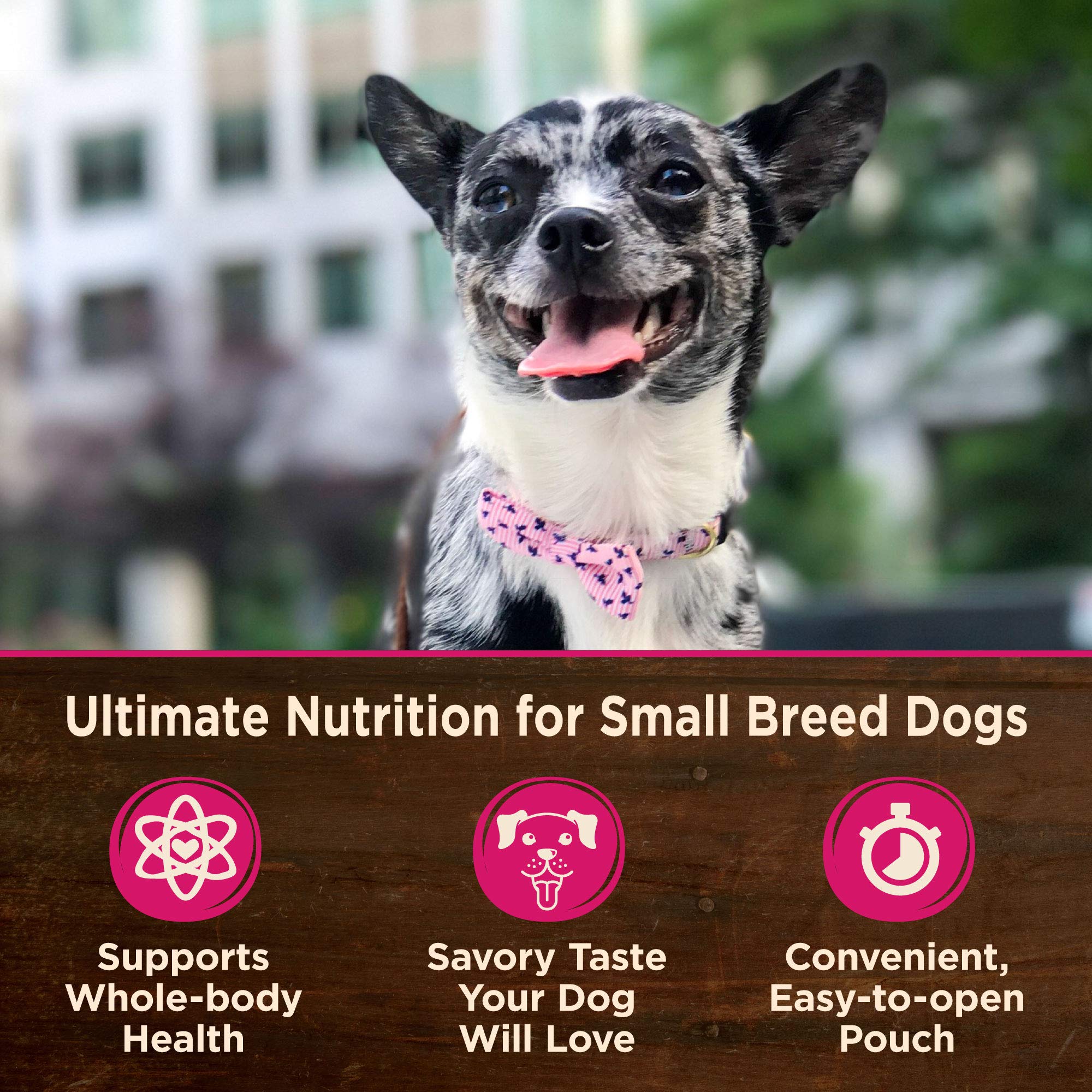Wellness Core Grain Free Small Breed Mini Meals Chunky Variety Pack, 3 oz (Pack of 12) - Image 3