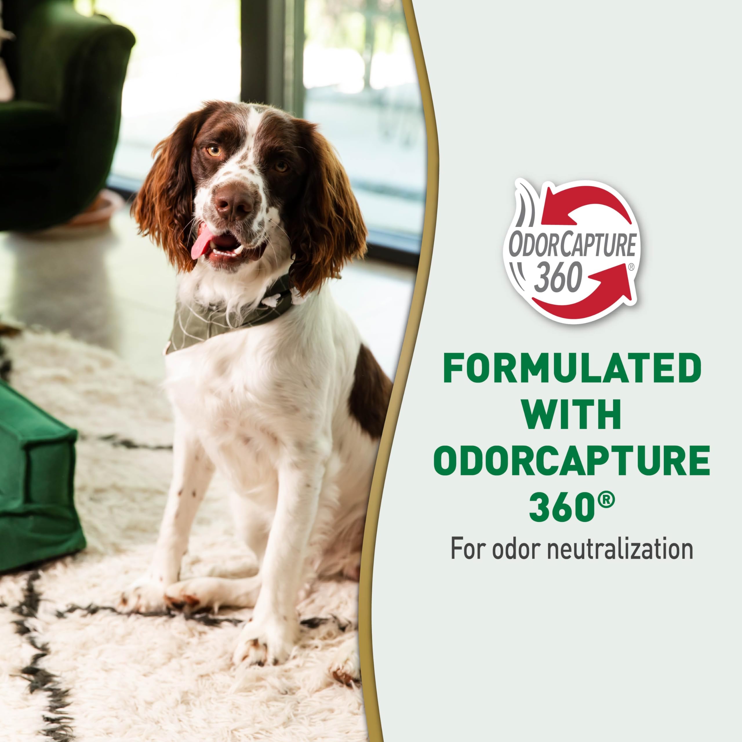 Nature's Miracle Urine Destroyer Plus for Dogs with Flip & Go Sprayer, 64 Ounces, Enzymatic Formula for Dogs Powers Out Tough Dog Urine Messes and Yellow, Sticky Residue - Image 4