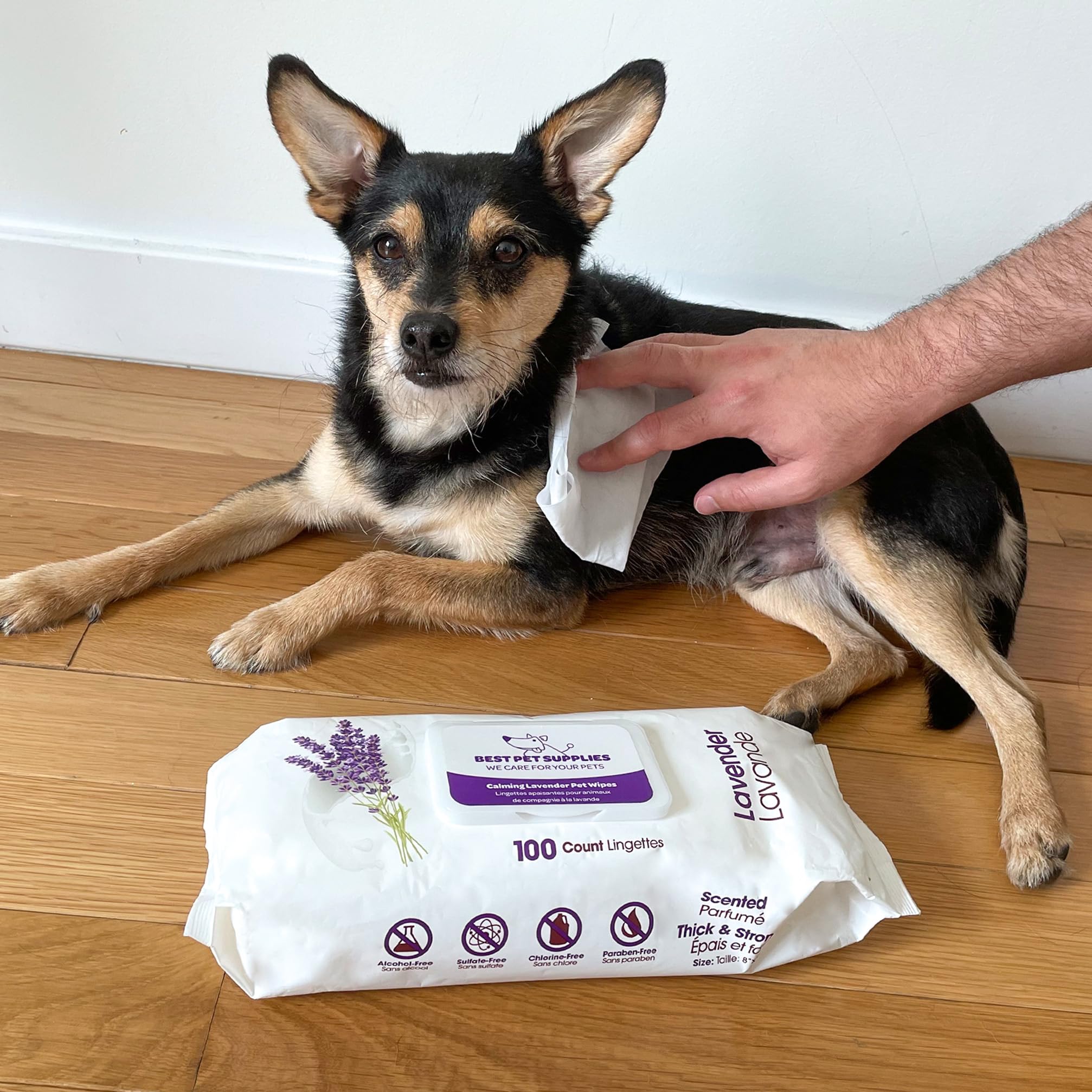 Best Pet Supplies Pet Wipes for Dogs - Dog Wipes Cleaning Deodorizing, for Coats, Ears, Paws - Calming Lavender, Aloe Vera, 100 Count - Image 6