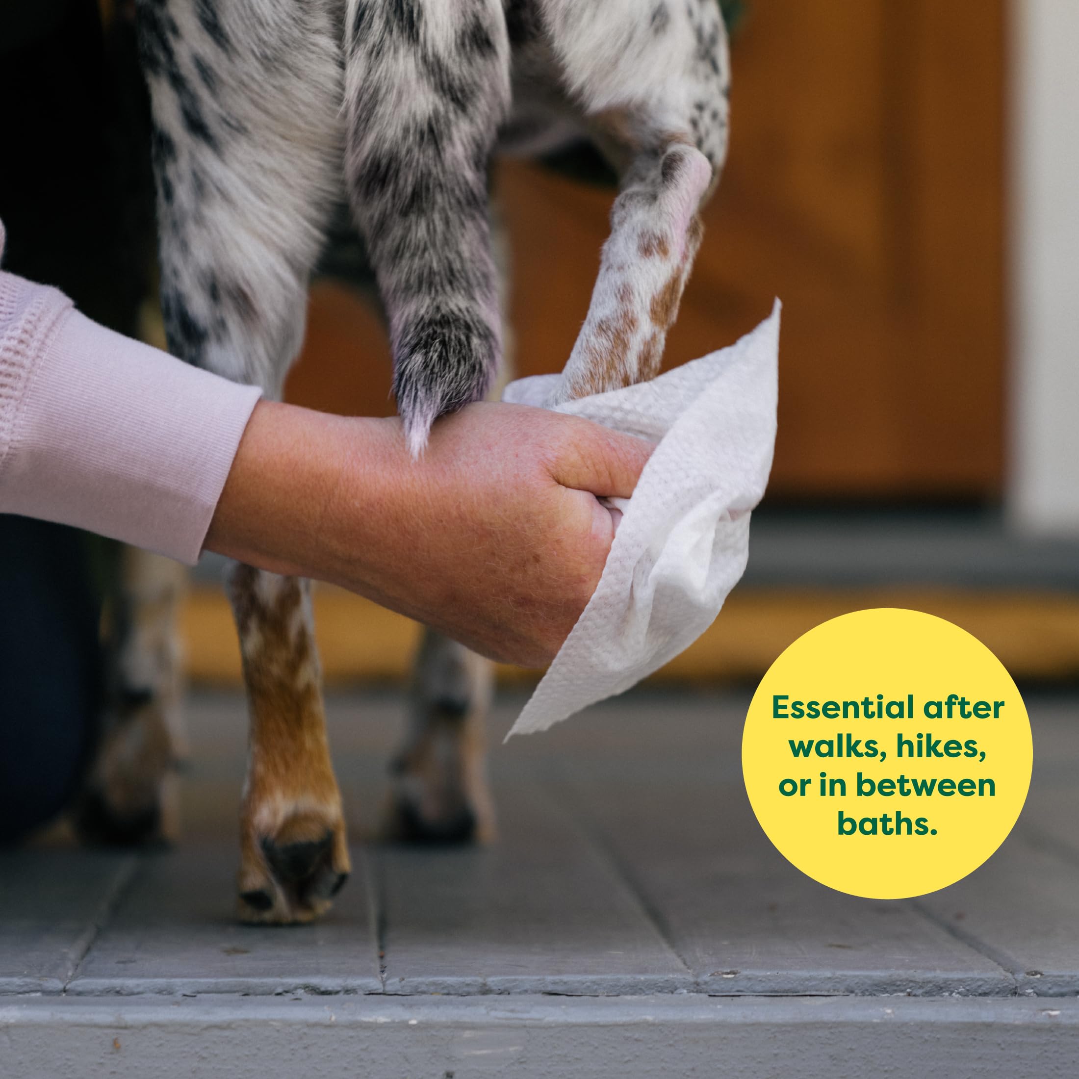 Earth Rated Pet Wipes for Dogs and Cats, Hypoallergenic, Cleaning and Hydrating, for Grooming Paws, Body and Butt, Unscented, 100 Count - Image 3