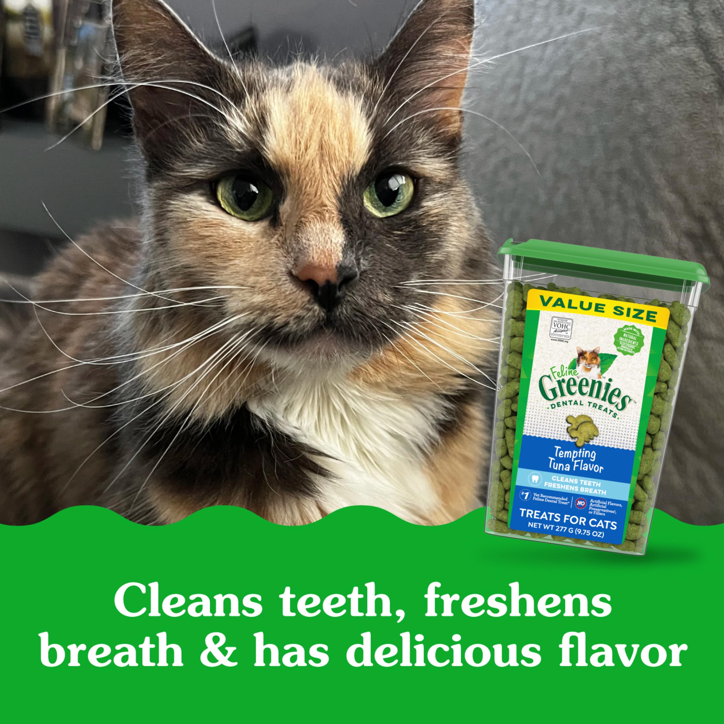 Greenies Feline Adult Dental Cat Treats, Tempting Tuna Flavor, 9.75 oz. Tub - Image 3