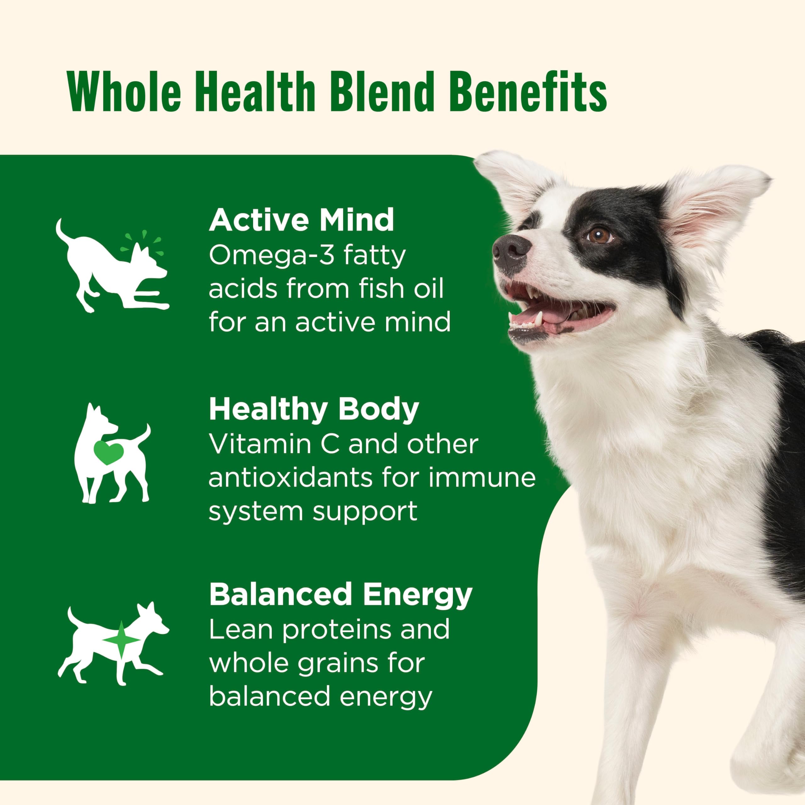 Nutrish Dry Dog Food, Real Chicken & Veggies Recipe Whole Health Blend, 6 lb. Bag (Rachael Ray) - Image 4
