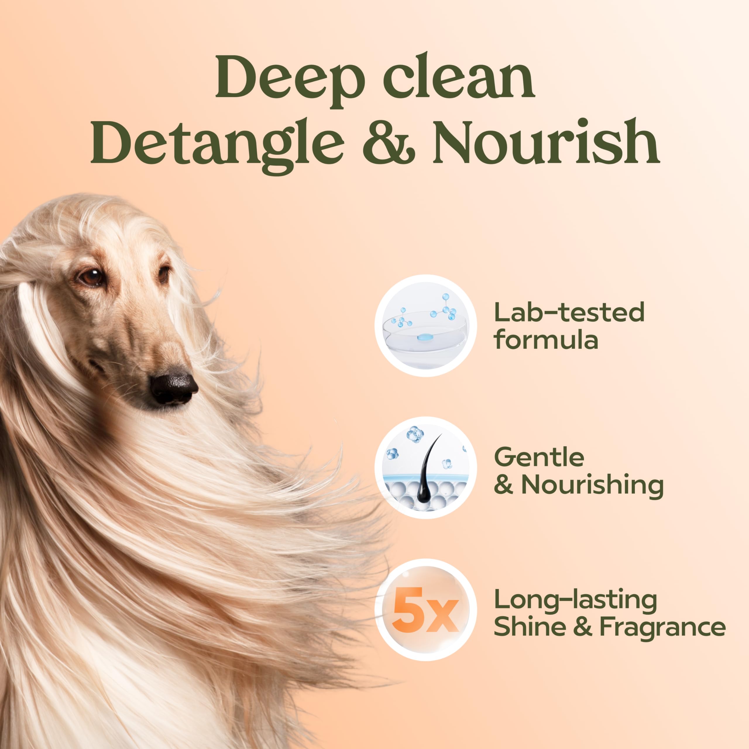 PAWFUME Deshedding Dog Shampoo and Conditioner, Show Dog, 1-Pack ? Nourish & Detangle for Silky Soft Coat ? Probiotic, Deep-Cleaning, pH-Balanced Formula ? Salon-Quality Shampoo for Dogs - Image 5