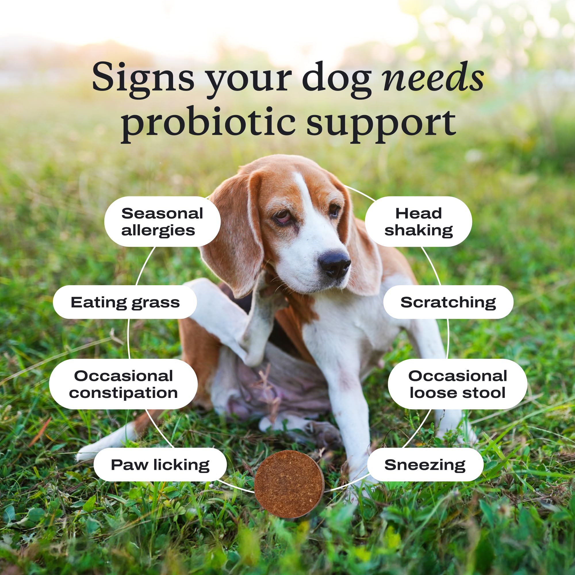 PetLab Co. Probiotics for Dogs, Support Gut Health, Occasional Diarrhea, Digestive Health & Seasonal Allergies - Pork Flavor - 30 Soft Chews - Packaging May Vary - Image 5
