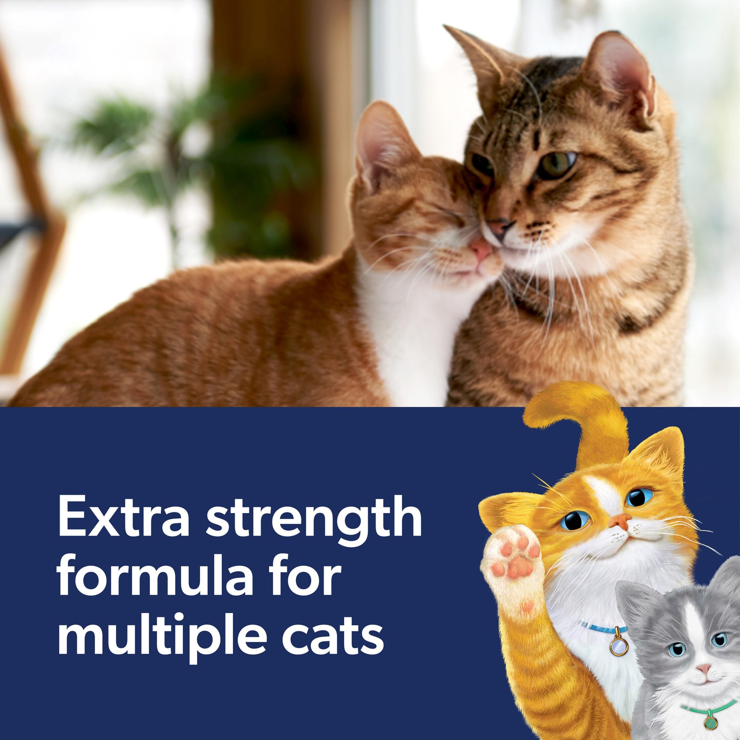 Fresh Step Clean Paws Cat Litter with Febreze Freshness, Advanced Multi Cat Low Tracking Clumping Litter, 37 lbs. (2 x 18.5 lb. Box) - Image 6