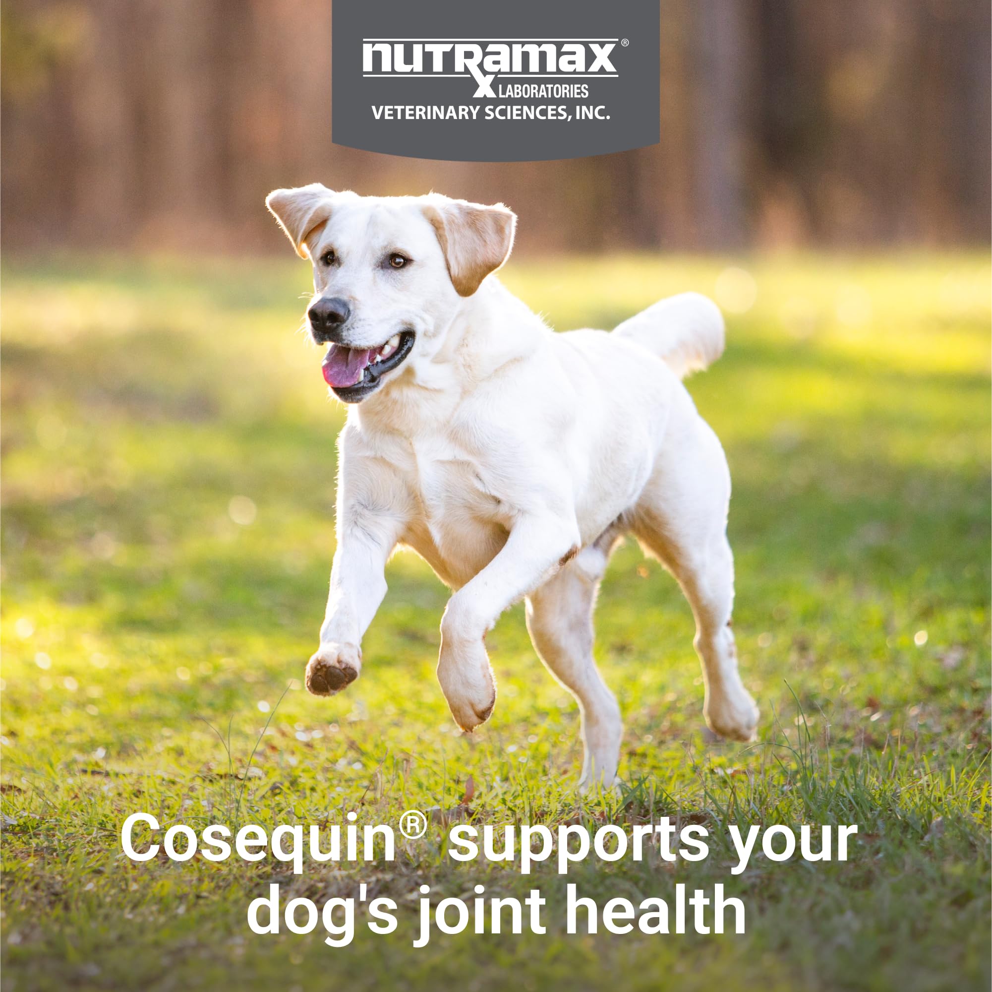 Nutramax Cosequin for Dogs Joint Health Supplement, Contains Glucosamine for Dogs, Plus Chondroitin and MSM, Supports Healthy Joints, For All Breeds and Sizes, Chewable Tablets, 132 Count - Image 3
